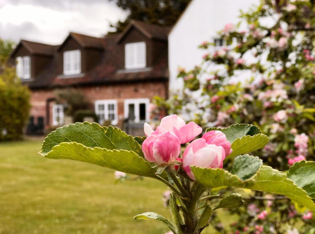 Hanger Down House Bed And Breakfast アランデル エクステリア 写真